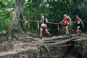 BIB: 
                            <button type="button" onclick="openModal(27803058)" class="btn btn-primary btn-sm float-right btn-popup" data-toggle="modal" data-target=".modal-high-quality">
                        <i class="fas fa-shopping-cart"></i> Add to Cart
                    </button>
                                            <button type="button" onclick="isThisMe(27803058, true)" class="btn btn-success btn-sm float-right btn-popup btn-isme hidden" data-toggle="tooltip" data-placement="bottom" title="นี่คือรูปของคุณใช่ไหม คลิกที่นี่เพื่อเอาเข้าอัลบั้ม">
                        <i class="fas fa-plus"></i> Add to album
                    </button>
                    <button type="button" onclick="isThisMe(27803058, false)" class="btn btn-warning btn-sm float-right btn-popup btn-isnotme hidden">
                        <i class="fas fa-ban"></i> Remove from album
                    </button>